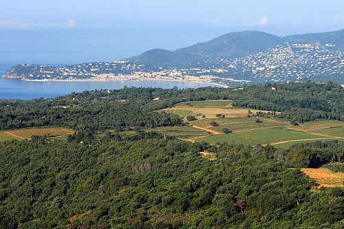 Домэн де ля Круа