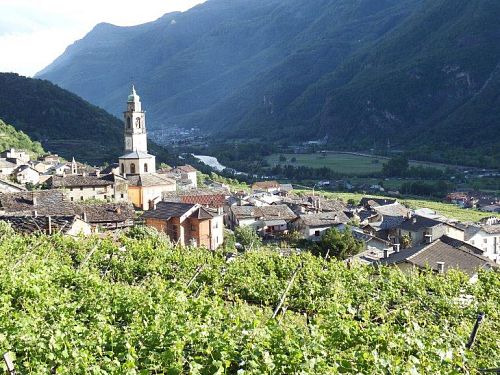 Кантина Продуттори Неббьоло ди Карема