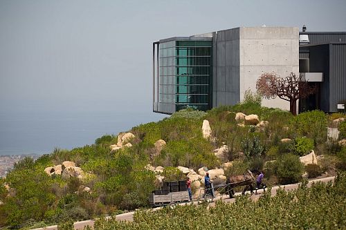 Уотерклуф Вайнс