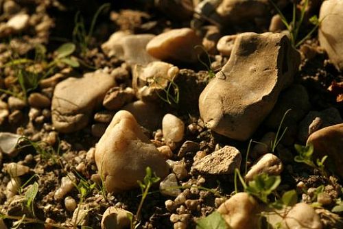 Шато Ля Консейант