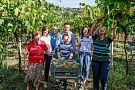Ка'Ругате Вайнери Ка'Ругате Вайнери
