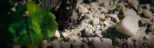 Шато Орм де Пез