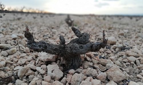 Парахес дель Валле