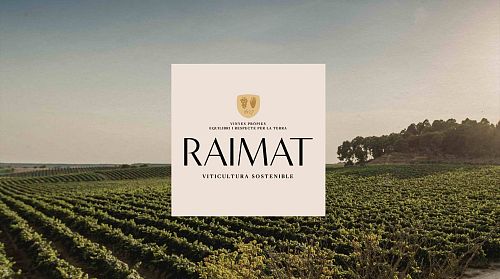 Раймат Раймат