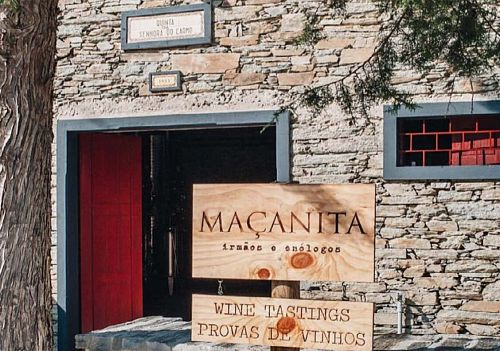 Масанита Масанита
