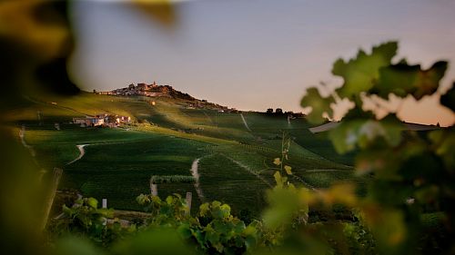 Кантине Дамилано