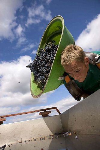 Шато Шасс-Сплин