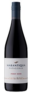 Пино Нуар Марантикуа, Патагония