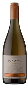 Торронтес Дон Давид, Сальта Торронтес Дон Давид, Сальта