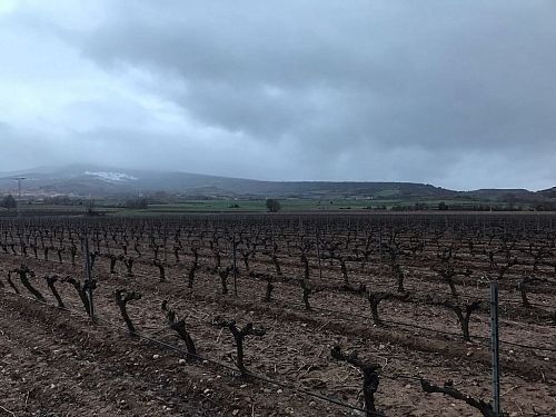 Грегорио Мартинез