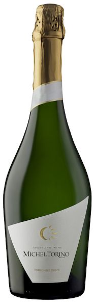 Мишель Торино Торронтес 