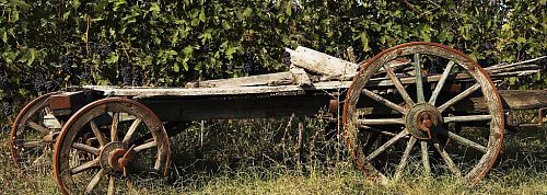 Аральдика Вини