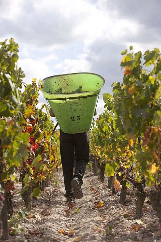 Шато Шасс-Сплин