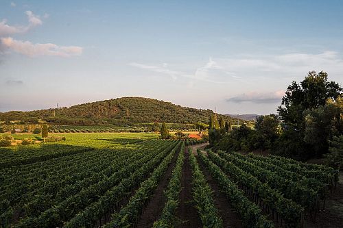 Тенута Казадеи