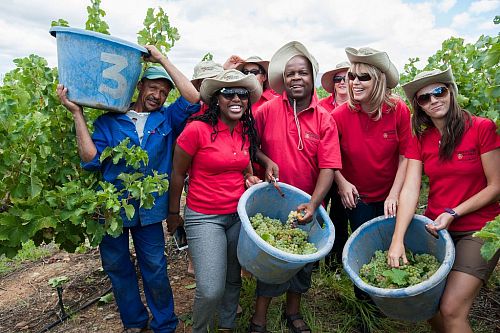 Робертсон Вайнери Робертсон Вайнери