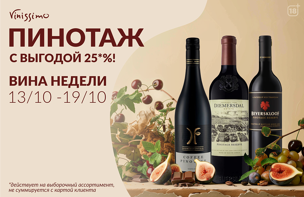 Пилотаж 2025
