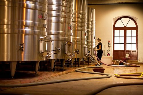 Шато Гран-Пюи-Лакост