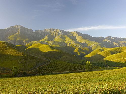 Робертсон Вайнери Робертсон Вайнери