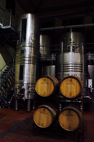 Грегорио Мартинез