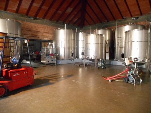 Винья Маганья