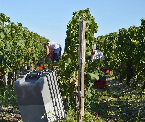 Шато Лагранж