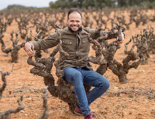 Бодегас Понсе