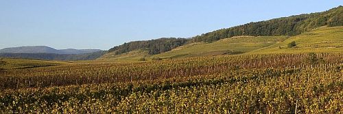 Люсьен Альбрешт