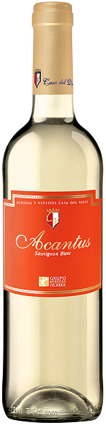 Акантус бланко