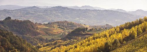 Аральдика Вини