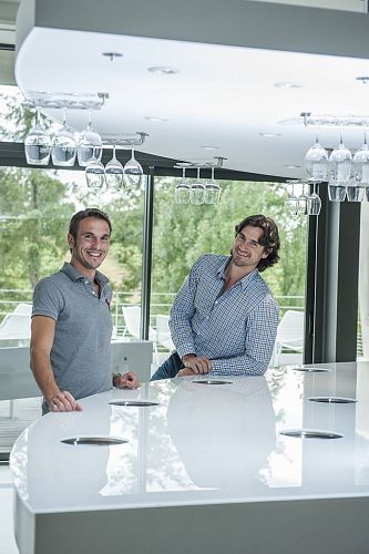 Домэн дю Тарике