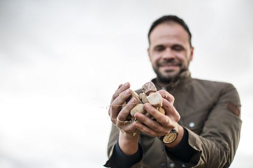 Бодегас Понсе