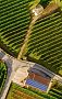 ITALIAN WINE BRANDS