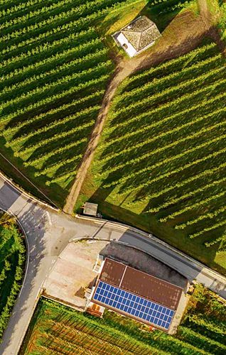 ITALIAN WINE BRANDS