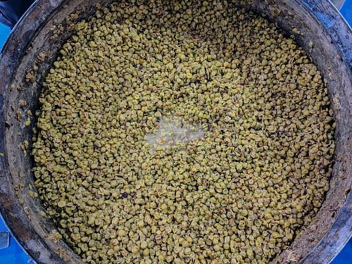 Маркус Альтенбургер