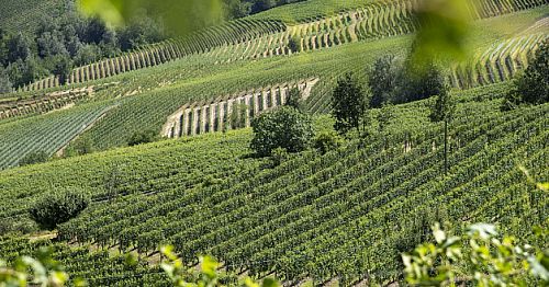 Кальдирола