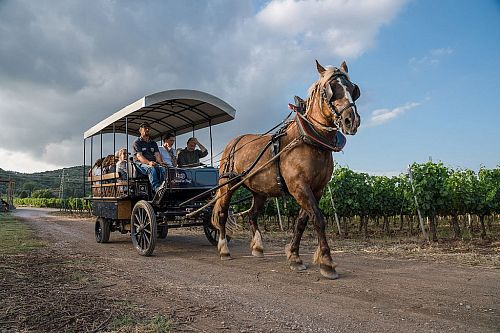 Тенута Казадеи
