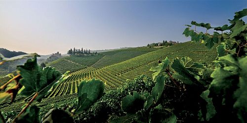 Кантине Дамилано