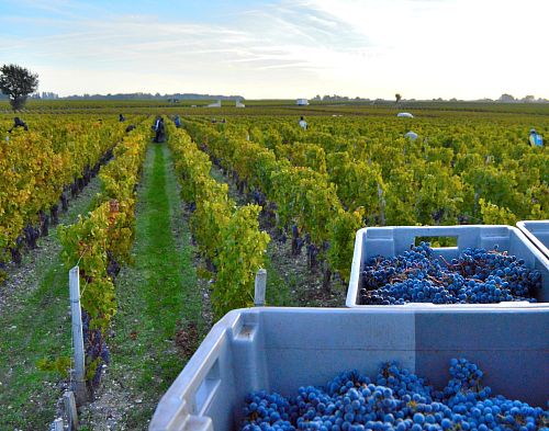 Шато Лагранж