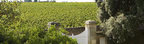 Шато Орм де Пез